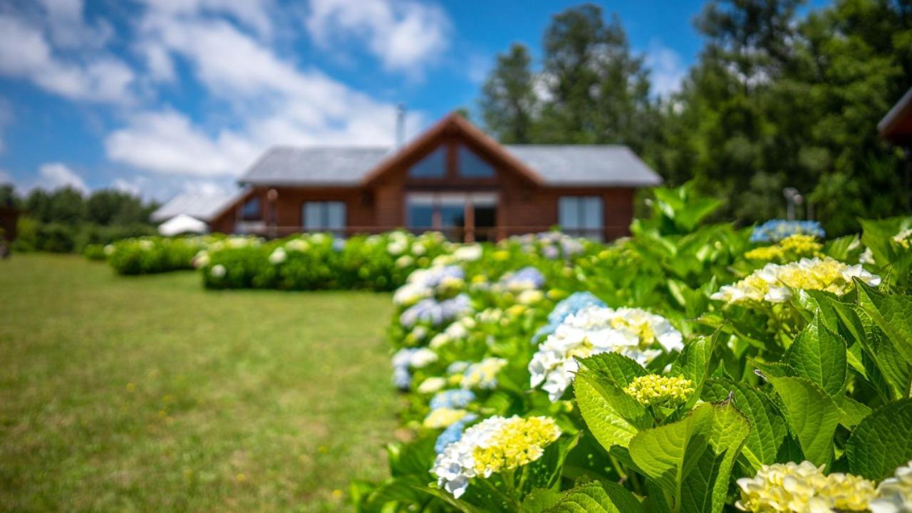 Cabanas Copayapu プコン エクステリア 写真